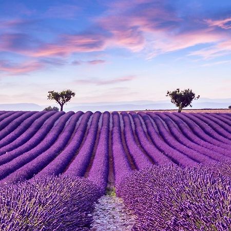La Maison Des Collines Allemagne-en-Provence Eksteriør billede
