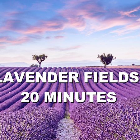 La Maison Des Collines Allemagne-en-Provence Eksteriør billede