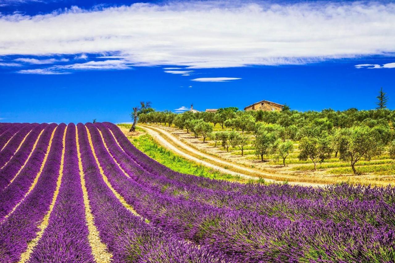 La Maison Des Collines Allemagne-en-Provence Eksteriør billede