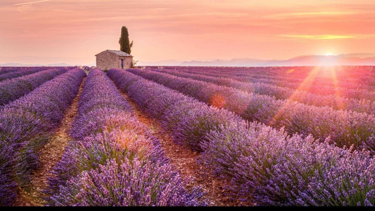 La Maison Des Collines Allemagne-en-Provence Eksteriør billede